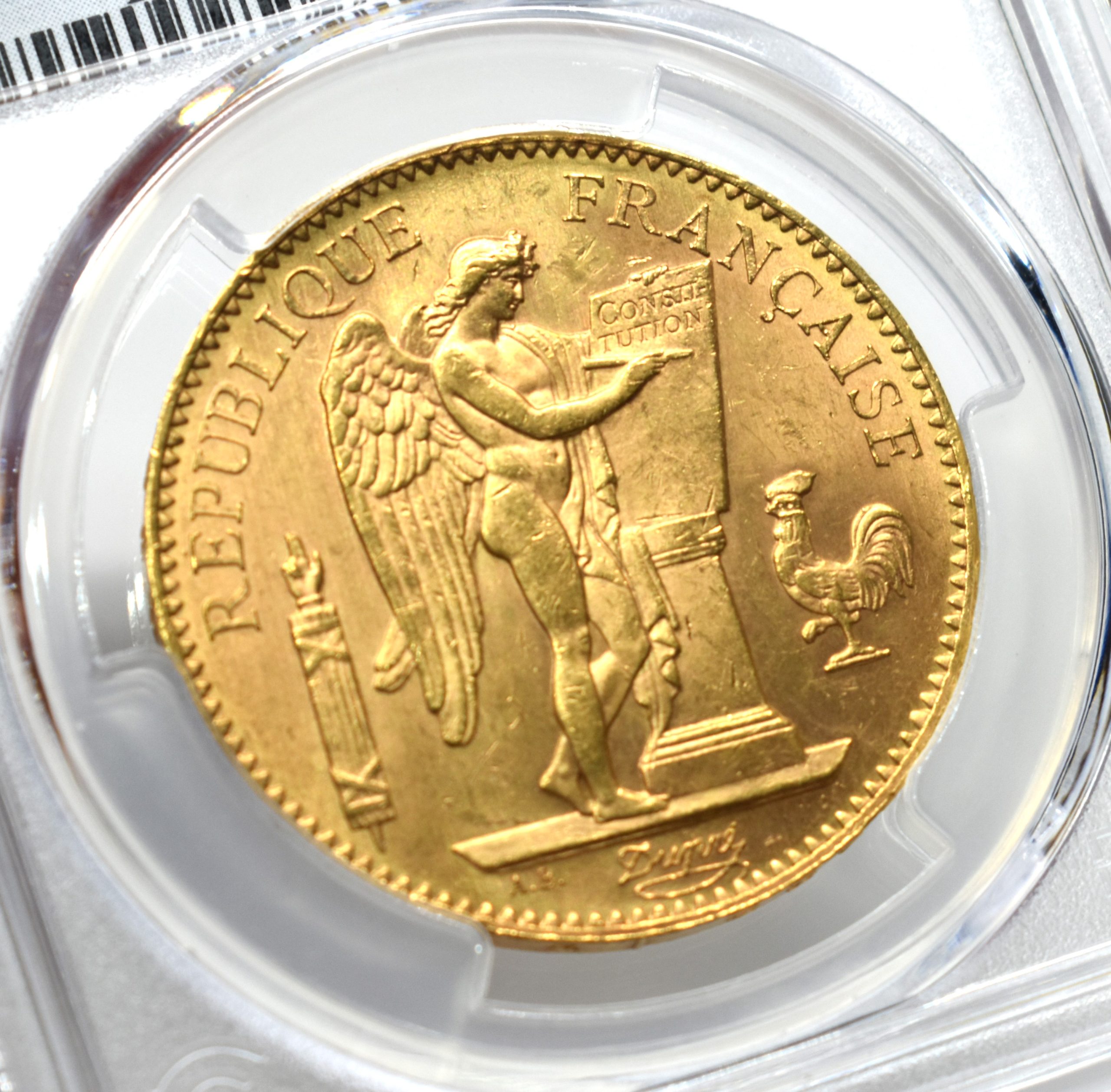フランス 記念金貨 100F金貨 22k - コレクション